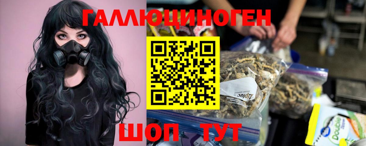 Галлюциногенные грибы ЛСД Усть-Джегута