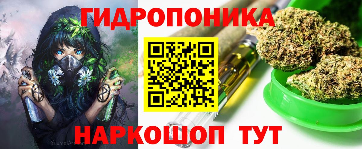 Бошки Шишки конопля Усть-Джегута